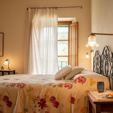 Agriturismo Casa Montecucco Giuncarico Dış mekan fotoğraf